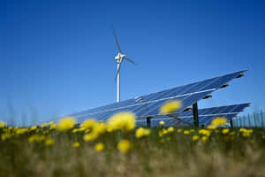 藍天下黃色花田中的太陽能板和風力發電機 — 綠色天空 壁紙