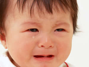 嬰兒在白色背景下哭泣，臉頰上掛著一滴眼淚。 — 小莫娜 壁紙