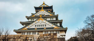大阪城白色城牆金色邊飾，藍天下光禿樹木 — 東京鐵塔 壁紙