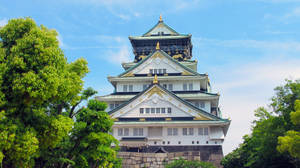 晴朗日子裡的大阪城，綠樹與藍天 — 東京鐵塔 壁紙
