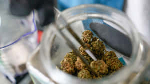 裝滿大麻花蕾和加工工具的玻璃罐。 — 植物美學 壁紙