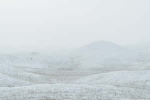 積雪的山丘和稀疏的樹木，在霧濛濛的冬季天空下。 — 酷寒冬季 壁紙