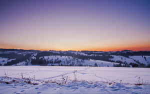 夕陽下的雪丘，紫橙色天空，前景霜凍草叢 — 冬季風景 壁紙