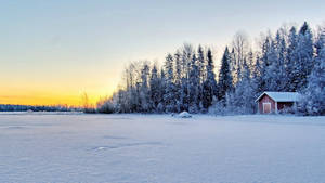 冬日夕陽下的雪地紅屋與霜樹 — 冬季風景 壁紙