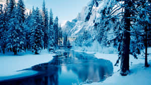 白雪覆蓋的松樹和山脈倒映在平靜的冬日河流中。 — 冬季風景 壁紙