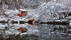 紅色寶塔和橋樑倒映在白雪覆蓋的水面上，四周環繞樹木。 — 冬季風景 壁紙