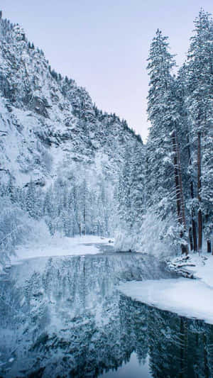 白雪覆蓋的松樹和山脈倒映在冬日寂靜的冰凍湖面上。 — 冬季風景 壁紙
