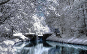 白雪覆蓋的森林，平靜的河流倒映著天空和一個石堰。 — 冬季風景 壁紙