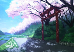 河邊和稻田旁，櫻花下的紅色鳥居。 — 鳥居 壁紙