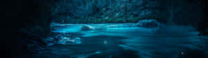 一條發光的藍色河流在夜晚流過黑暗的森林，有岩石和樹木。 — 暗黑地牢 壁紙