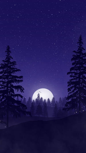 滿月在松樹後升起，背景是繁星點點的夜空。 — 月亮美學 壁紙