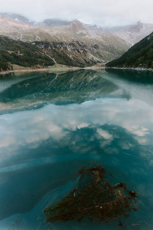 山湖映照雲朵和山峰，前景有樹枝