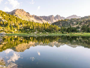 山間湖泊在平靜的水面上反射森林和山峰 — 湖泊 壁紙