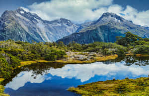 積雪的山峰倒映在平靜的高山湖泊中，四周綠樹環繞。 — 海灘度假 壁紙