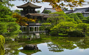 傳統日本庭園，亭閣與水面倒影被綠樹環繞。 — 日式 壁紙