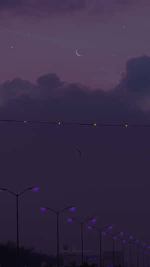 紫色路燈排列在一條安靜的道路旁，上方是帶有新月的星空暮色天空。 — 美學月亮 壁紙