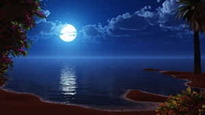 星空下，棕櫚樹和寧靜海洋的月光海灘。 — 黑夜 壁紙