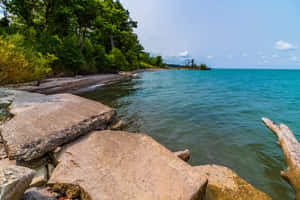綠樹成蔭的沙灘旁是平靜的碧綠海水，前景有大型岩石。 — 湖泊 壁紙