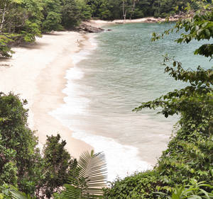 熱帶海灘，有白色沙灘、碧綠海水和綠色植物 — 海灘 壁紙