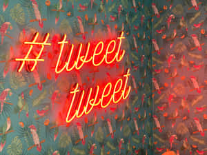 在熱帶鸚鵡壁紙背景上，帶有 hashtag tweet tweet 的霓虹燈牌。 — Twitter 橫幅 壁紙