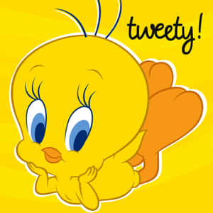 小鳥 Tweety — iPad (A16) 壁紙