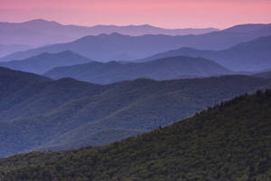 在粉紅與紫色暮色天空下，起伏的森林覆蓋山巒。 — 山脈 壁紙