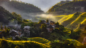 最佳圖片 — 最佳 壁紙