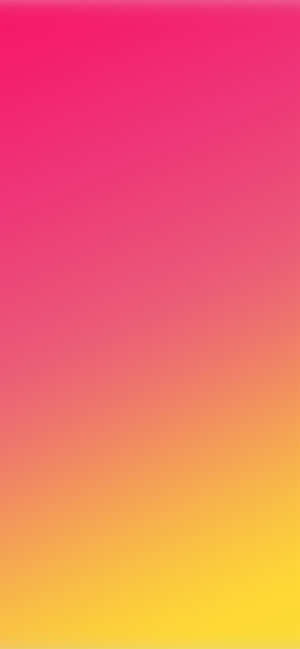 從粉紅到黃色的鮮豔垂直漸變 — 黃色美學 GIF 壁紙