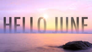 海洋上的日出，帶有 'HELLO JUNE' 文字覆蓋。 — 春天花朵 壁紙