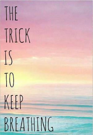 海洋上的粉彩日落，文字 'the trick is to keep breathing'