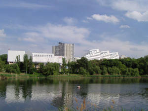藍天下，湖面倒映著現代建築和綠樹。 — 城市風景 壁紙