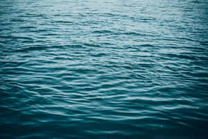 平靜的藍綠色海水，帶有輕微波紋 — 海景 壁紙