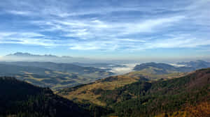 藍天下，森林和遠處山峰的山谷全景。 — 秋季 壁紙