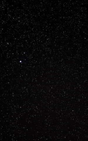 深邃的黑色天空佈滿星星，還有一顆突出的藍色星星。 — 太空美學動圖 壁紙