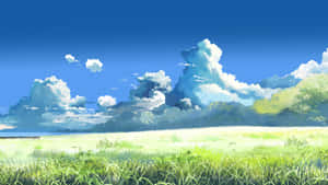 陽光草地，藍天白雲蓬鬆 — 新海誠 壁紙