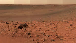 朦朧橙色天空下的紅色岩石火星地形 — 火星人布魯諾 壁紙