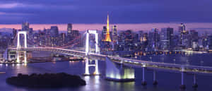 黃昏時分的東京天際線，彩虹橋和東京塔在水面上亮起。 — 東京 壁紙