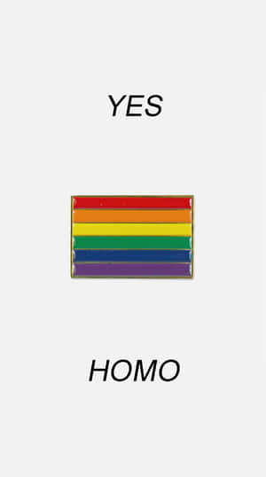 彩虹驕傲旗幟別針，上方為YES，下方為HOMO。 — 雙性戀旗幟 壁紙