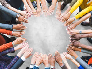 多種手在混凝土地板上形成一個圓圈，象徵團結與協作。 — 高清 壁紙