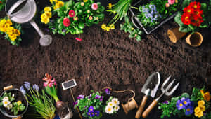 園藝工具和色彩繽紛的花朵圍繞著一塊土壤排列。 — 花園 壁紙