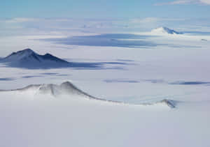 積雪的火山峰頂在晴朗的藍天下從冰原中顯現出來。 — 南極洲 壁紙