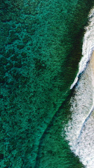 碧綠海浪與沙灘相接的空中鏡頭，下方可見珊瑚礁。 — 海洋 壁紙