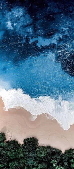 從空中俯瞰，海浪與沙灘交匯，下方是綠色森林。 — 海灘 壁紙