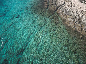 碧綠海水覆蓋珊瑚礁，與被陽光曬白的岩石交匯的空中鏡頭。 — 海灘度假 壁紙