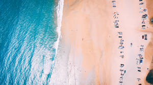 從空中俯瞰沙灘，碧綠的海水和遮陽傘下的日光浴者。 — 海灘 壁紙