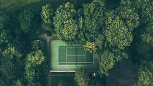 從高空俯瞰，被茂密綠樹環繞的網球場。 — 溫布頓 壁紙