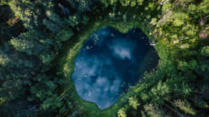 從上方俯瞰，一個心形湖泊 nestled 在茂密的綠色森林中。 — 森林湖泊 壁紙