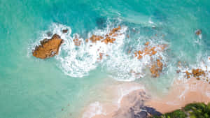 從高空俯瞰，綠松石色的海浪在岩石海岸和棕櫚樹環繞的沙灘上破碎。 — 海洋 壁紙