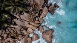 綠松石色的海浪拍打著棕櫚樹旁的棕色火山岩。 — 海灘 壁紙