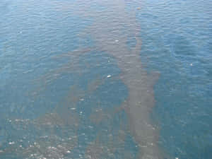 從上方看到一大片油污漂浮在藍色海洋表面。 — 海景 壁紙